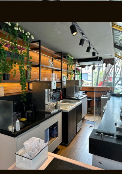 REF. 3911 - Franquia de sorvetes brownie e açaí