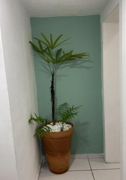 REF. 3826 - Lanchonete Central