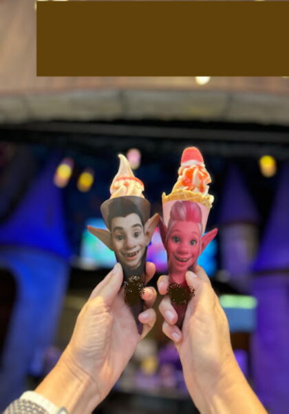 REF. 3942 - Franquia de sorvete